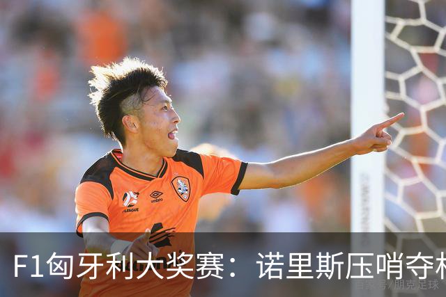 F1匈牙利大奖赛：诺里斯压哨夺杆